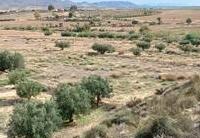 R22276: Finca Rústica zu verkaufen In Cuevas del Almanzora, Almería