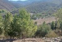 R22285: Cortijo for Sale in Lubrin, Almería