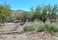 R22287: Cortijo Te koop in El Puertecico, Almería